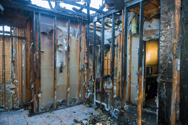 Professional Smoke Damage Removal technician working in Taft Mosswood, CA